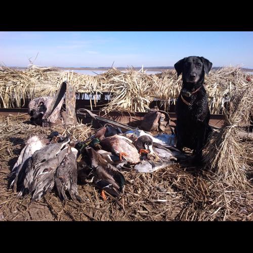 Venku Listing Arkansas SelfGuided Pit Lease Arkansas Duck Hunting