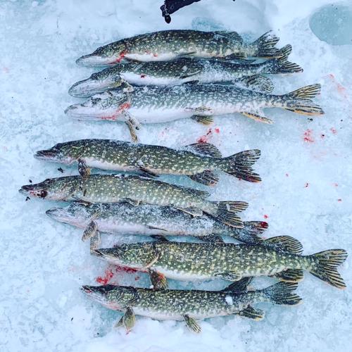 Ice Fishing Trip