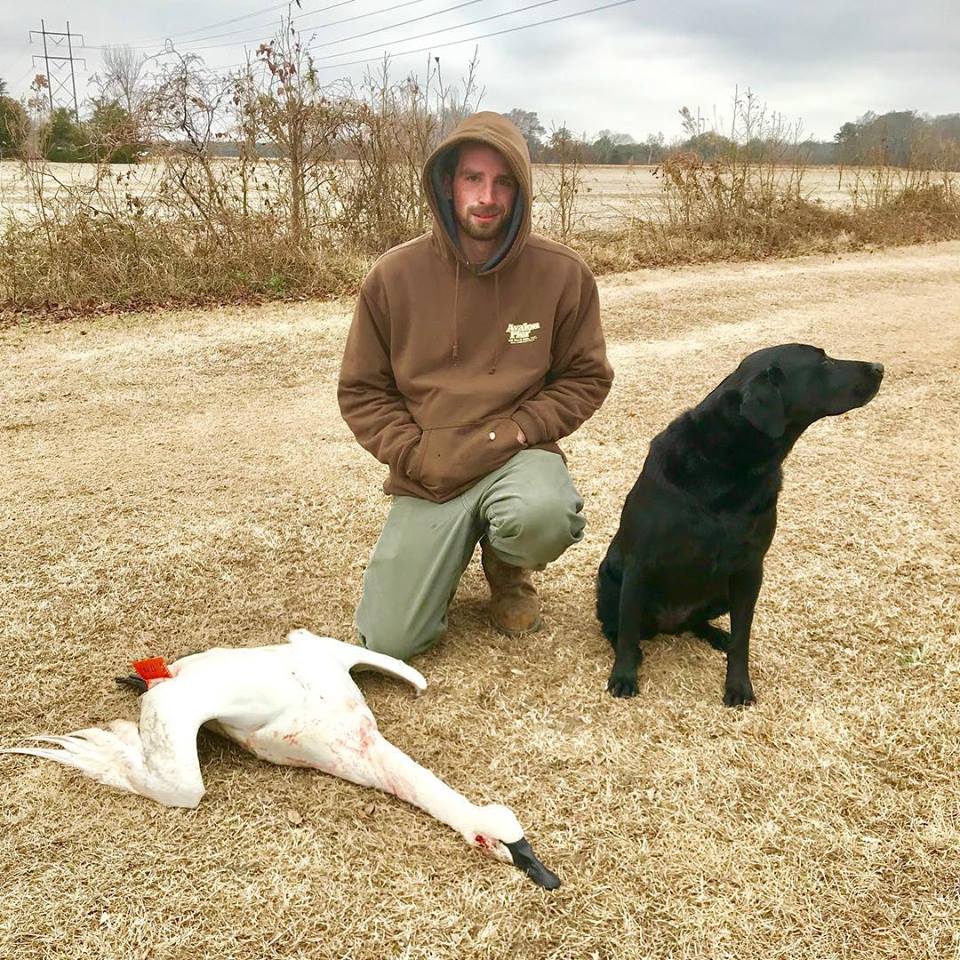 Venku Guided Tundra Swan Duck Hunt North Carolina Venku Guided Tundra Swan Duck Hunt North Carolina